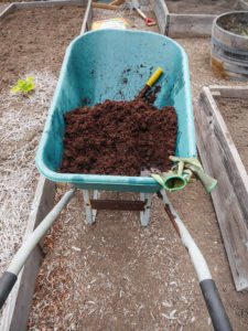 Coir_sm_P1270808
