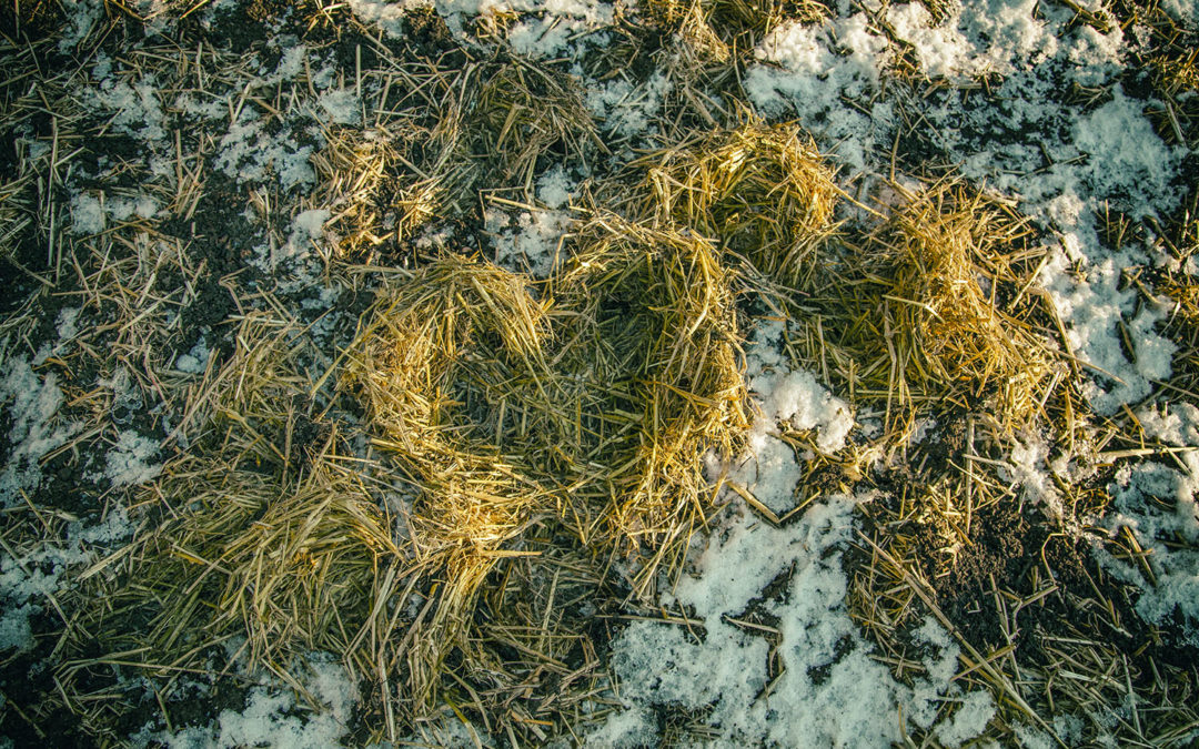A message in the straw