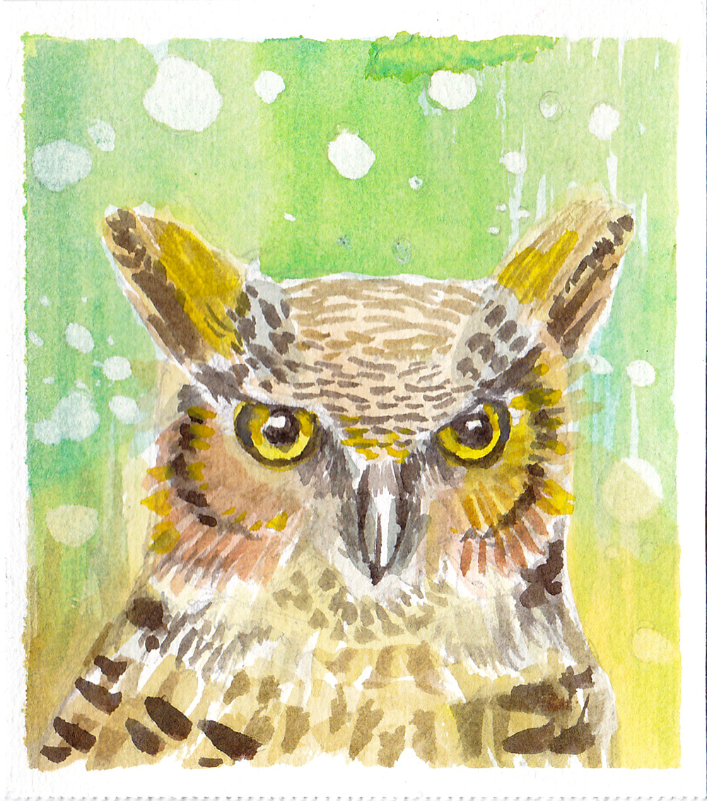 Owl